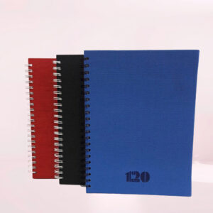 Cuaderno 105 Argolla 120