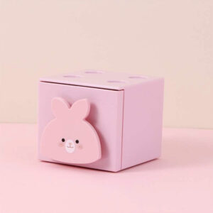 Caja Plástica Figura Pink